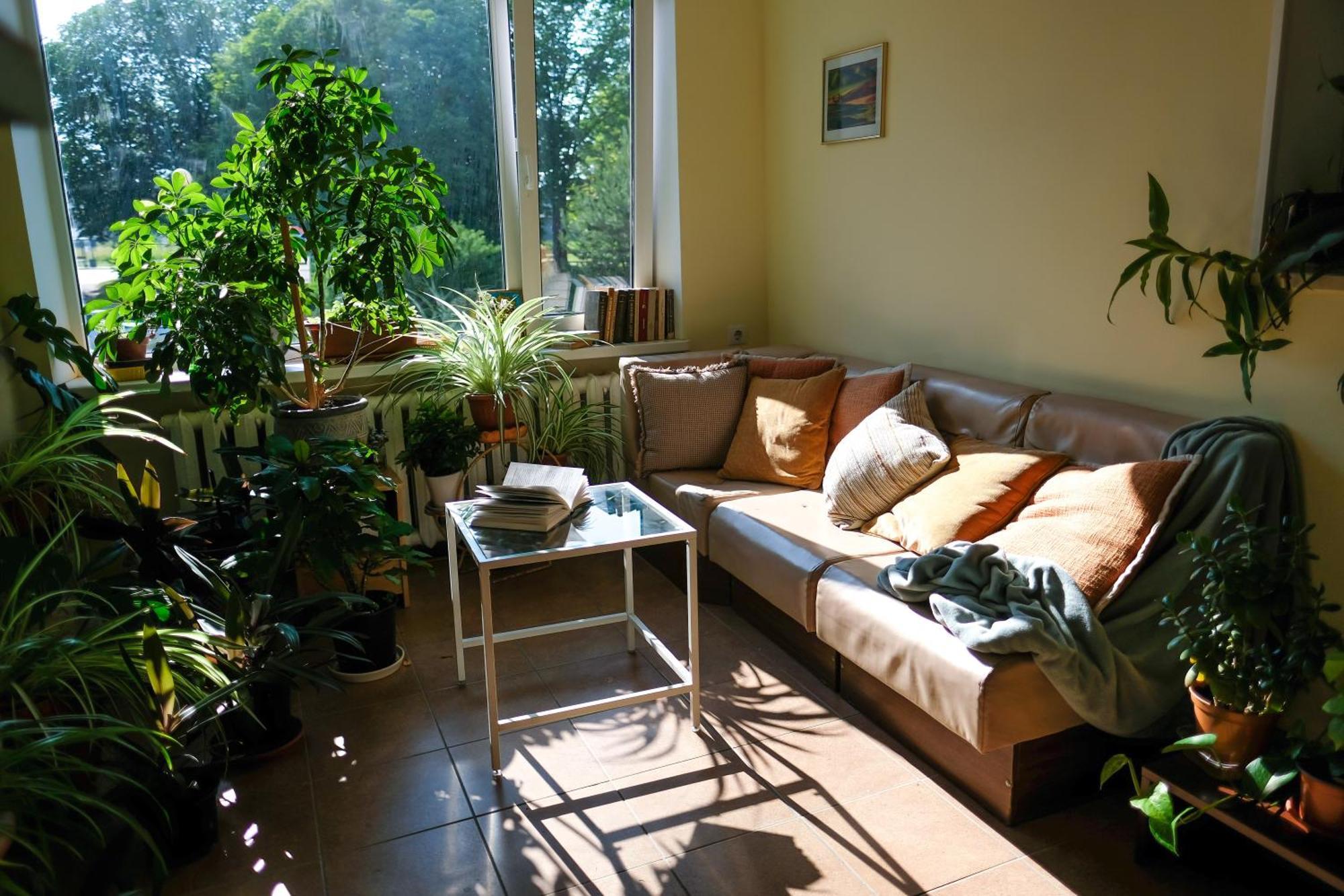 Hostel Nele Jõhvi Buitenkant foto